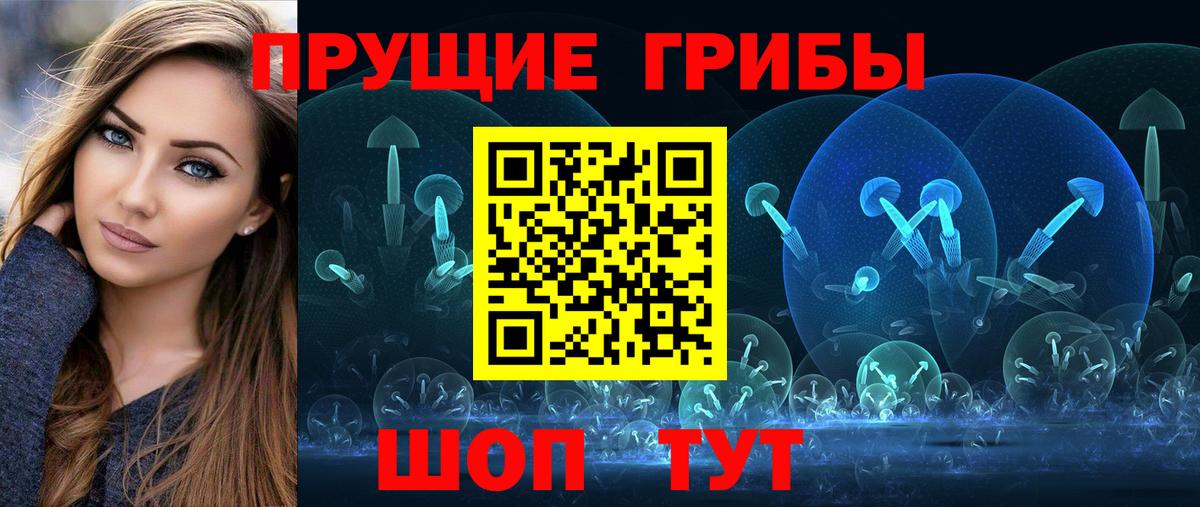 Галлюциногенные грибы Psilocybine cubensis Сухой Лог